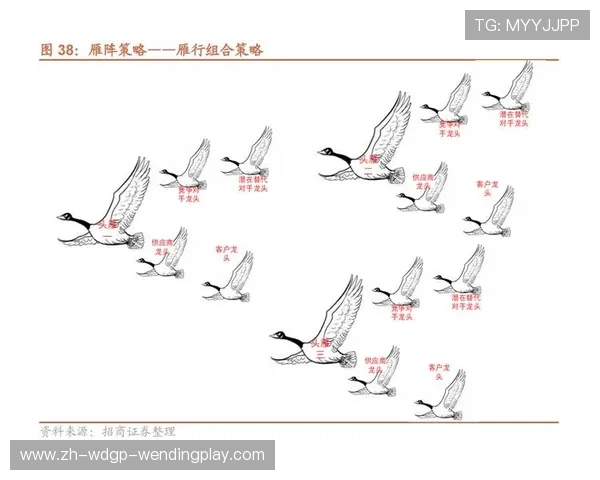 跨文化视角下CBA与美国足球市场渗透策略的比较与启示